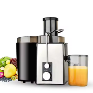 Mélangeur et extracteur de jus électrique 800W, Commercial et populaire, à vendre